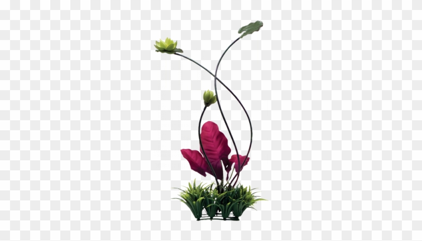 More Free Lily Pad Png Images - More Free Lily Pad Png Images #1550961