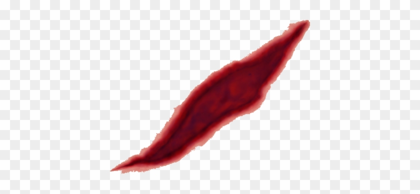 Wound Image Clip Art Adobe Photoshop - Wound Image Clip Art Adobe Photoshop #1551249