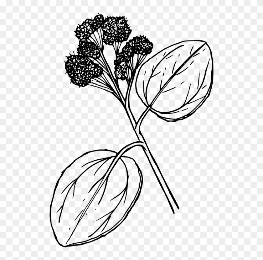 Computer Icons Floral Design Buckbrush Paint Brushes - Computer Icons Floral Design Buckbrush Paint Brushes #1551777