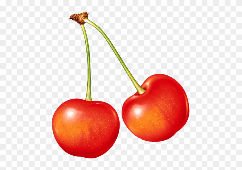 Download Cherries Clipart Png Photo - Download Cherries Clipart Png Photo #1551821