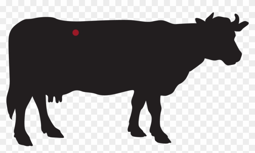 T Bone Steak Dry Aged - T Bone Steak Dry Aged #1552502