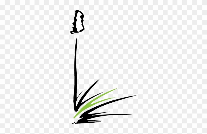 Why Build Green - Why Build Green #1552816