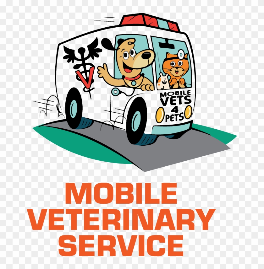 Veterinarian Services - Veterinarian Services #1553183