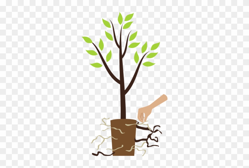 Step3 Container Loosenroots - Step3 Container Loosenroots #1553220