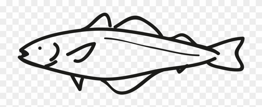Atlantic Cod - Atlantic Cod #1553455