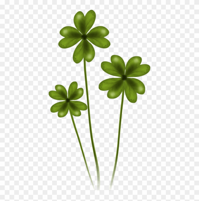 Shamrock Clipart Marzo - Shamrock Clipart Marzo #1553973