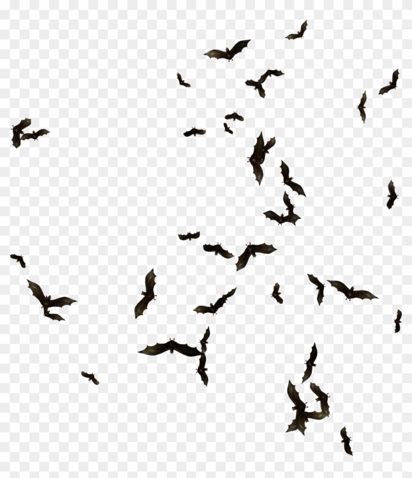 Clip Art Freeuse Library Vector Bats Swarm Bat - Clip Art Freeuse Library Vector Bats Swarm Bat #1554164