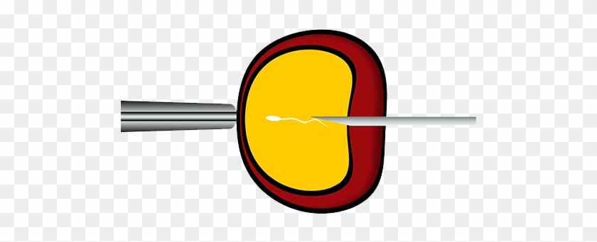 Ivf Success - Ivf Success #1554803