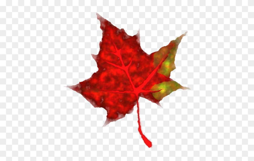 Fall Clip Art Download - Small Pics Of Leaves #36197