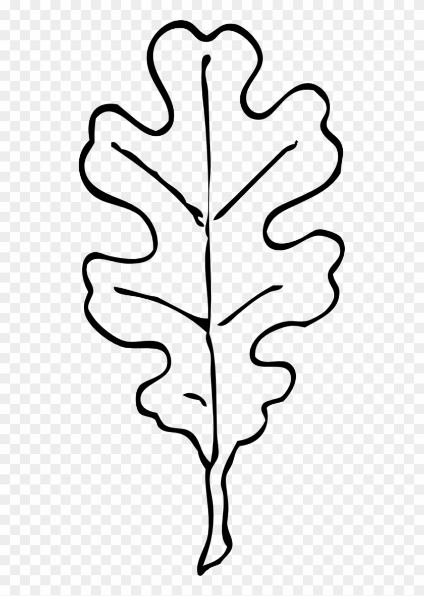 Oak Leaf Coloring Page Clipart Free To Use Clip Art - Oak Leaf Clip Art Black And White #40048