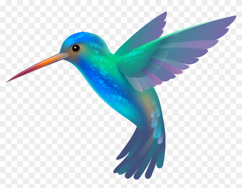 Hummingbird Transparent Clip Art Image - Hummingbird Clipart #41330