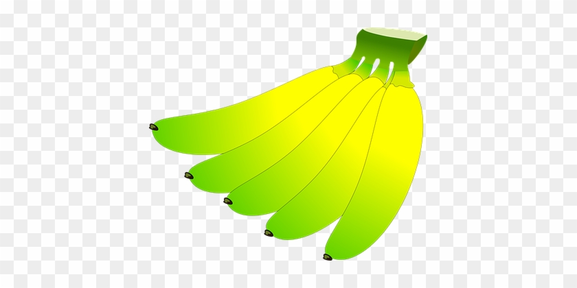 Banana, Fruit, Fresh, Organic, Green - Banana #41544