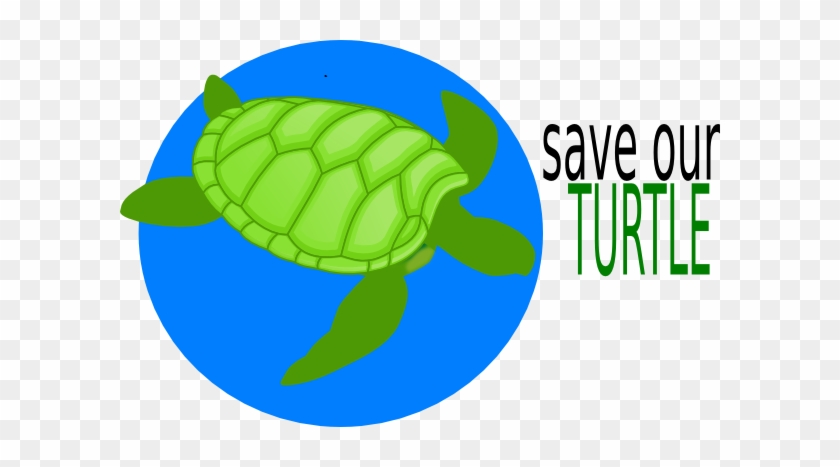 Save The Turtle Clipart #42054