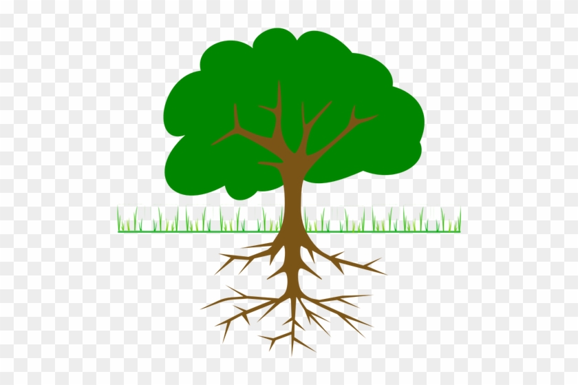 Tree, Branches, Root, Trunk, Planting - Tree Clip Art #42590