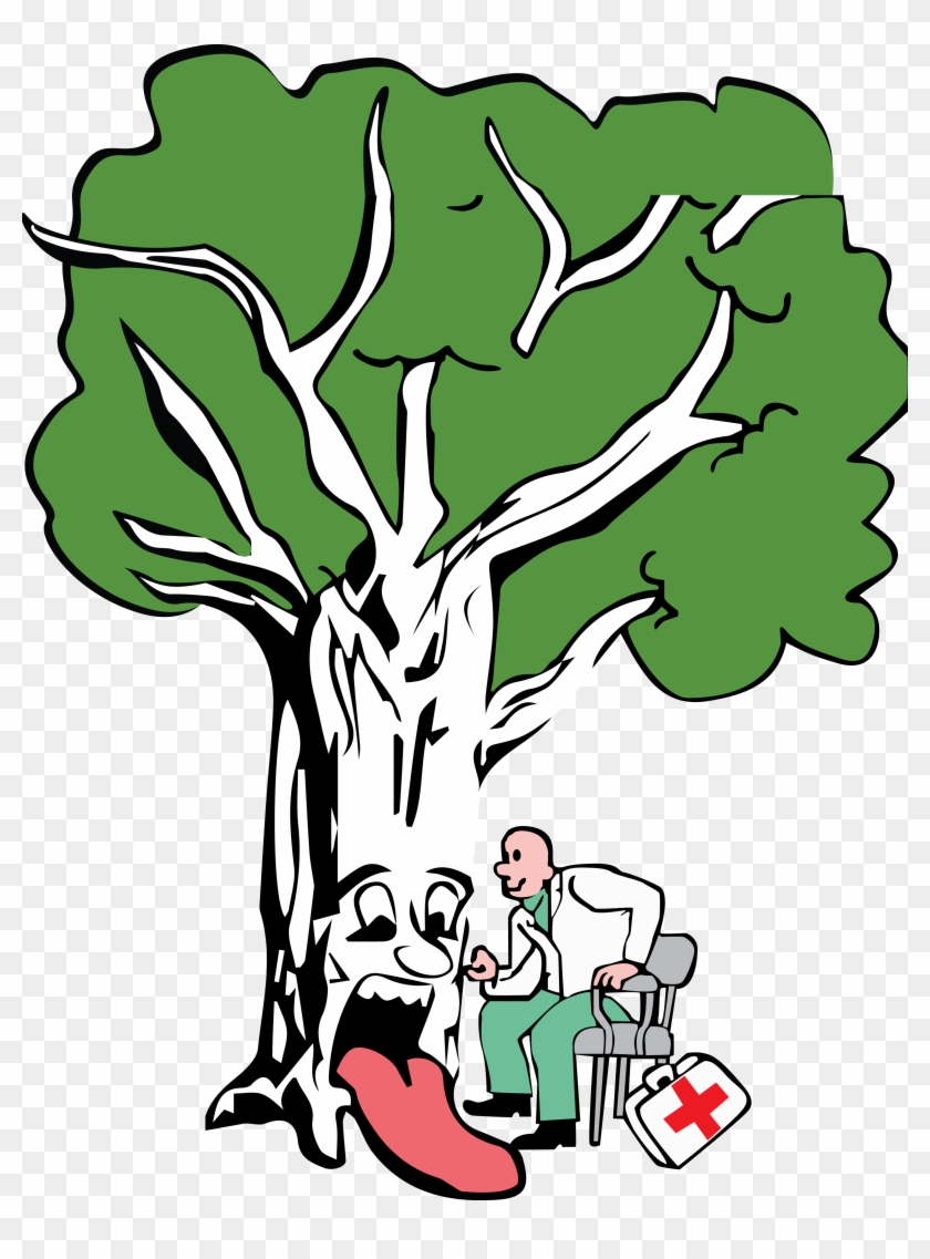 Brockley Tree Service #42614