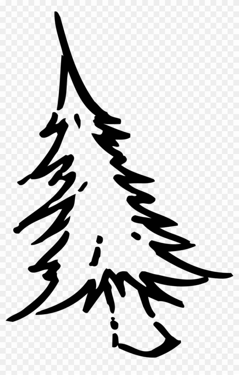 How To Draw A Christmas Tree, Coloring - ต้น คริสต์มาส รูป วาด #43366