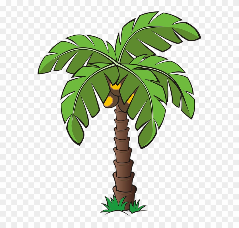 Tree #43866