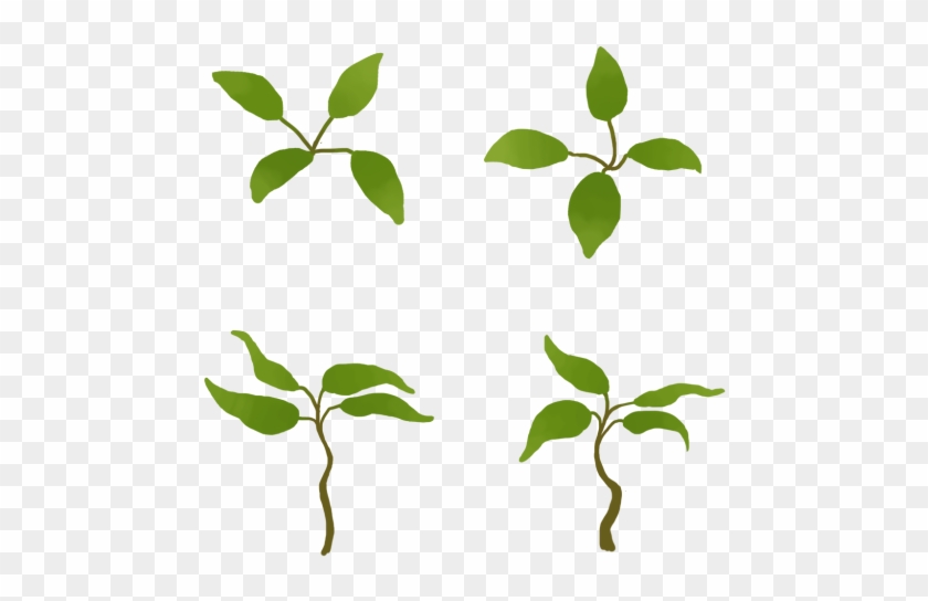 Clipart Tree No Leaves - Clipart Tree No Leaves #44106