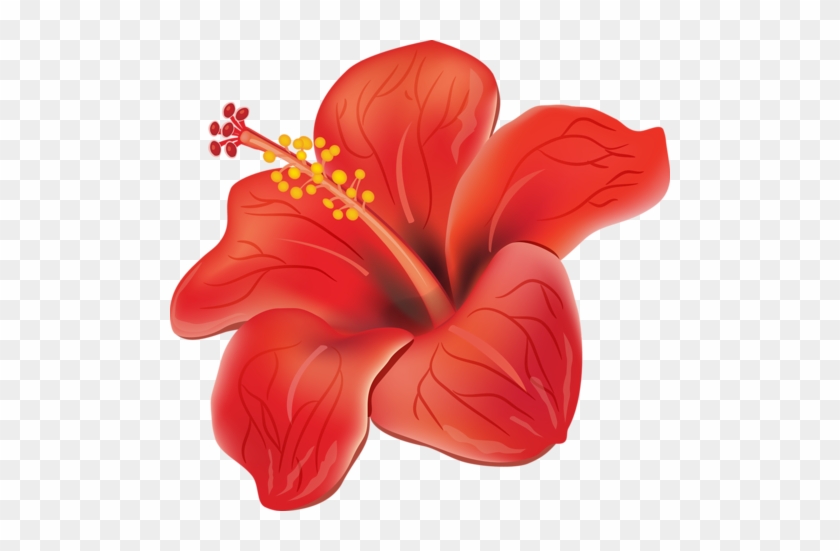 0 A04d3 6ea5179f Orig - Red Hibiscus Shower Curtain #242496