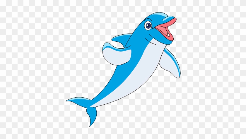Dolphin - Dolphin #1555504
