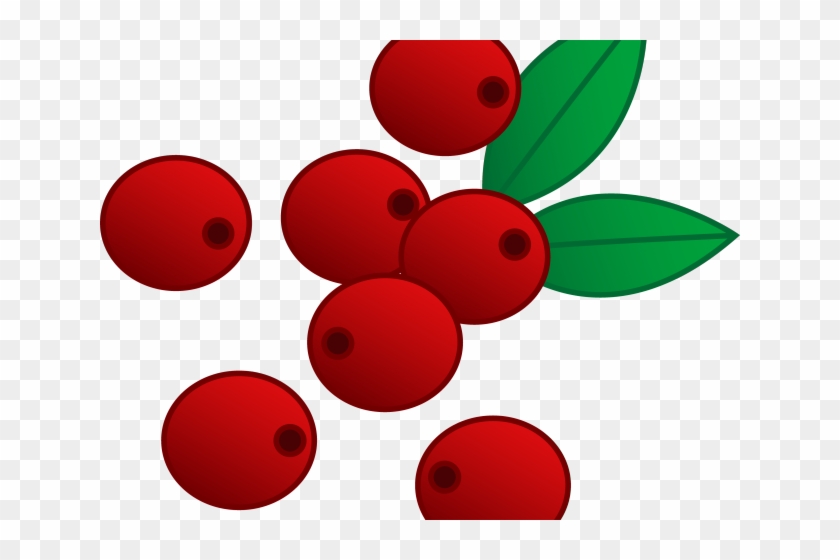 Cranberry Clipart Vector - Cranberry Clipart Vector #1555877