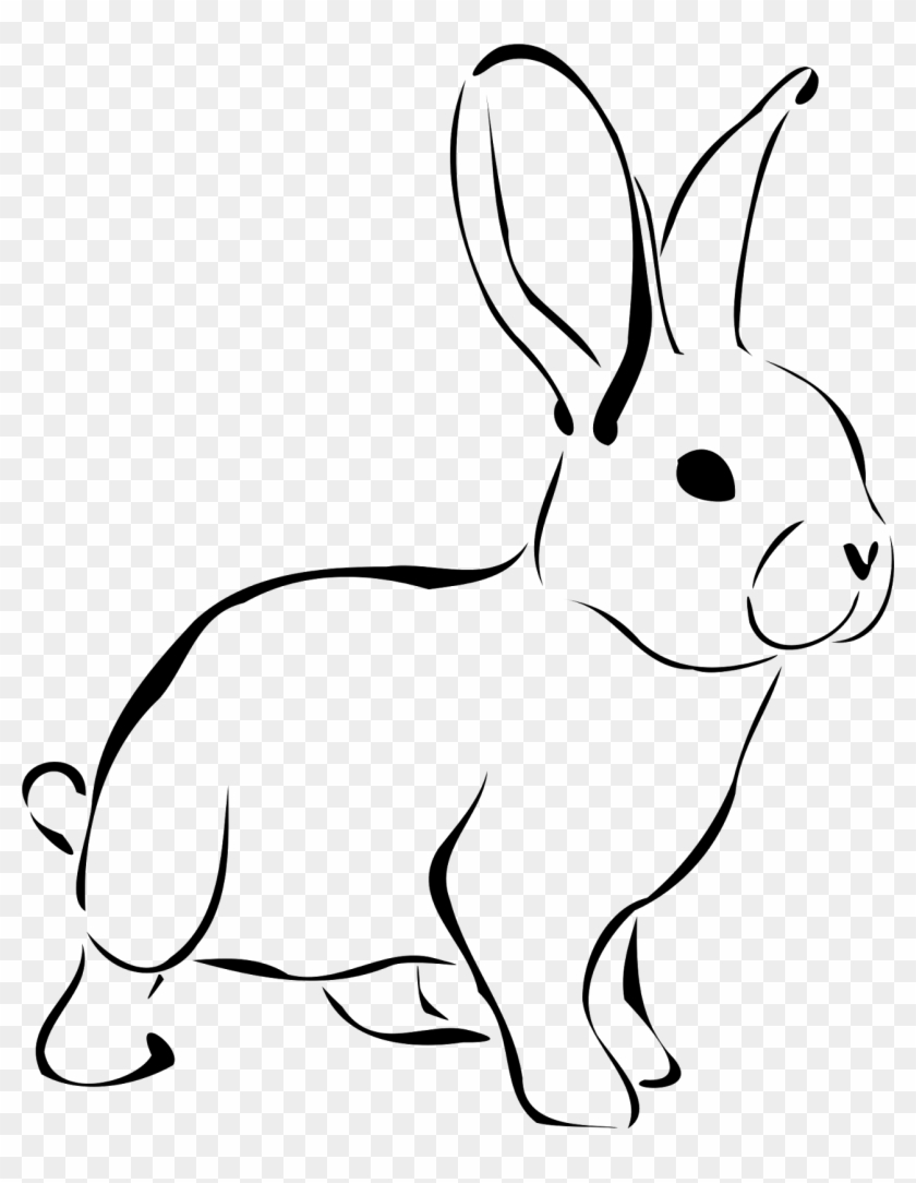 Bunny Clip Art Black And White - Bunny Clip Art Black And White #1556290