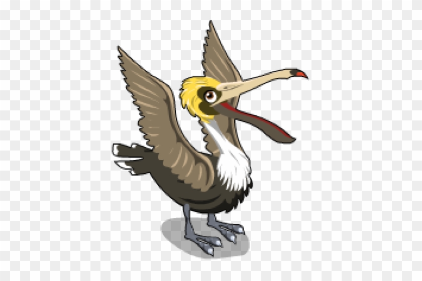 Brown Pelican - Brown Pelican #1556327