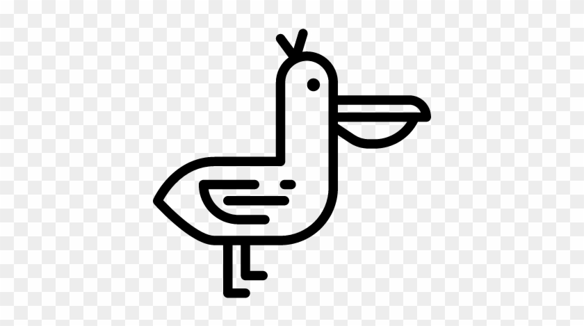 Pelican Vector - Pelican Vector #1556332