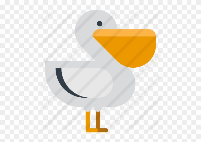 Pelican Free Icon - Pelican Free Icon #1556334