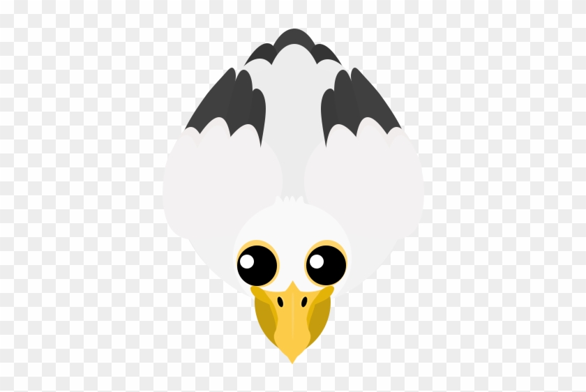 Pelican - - Pelican - #1556338