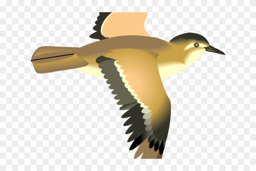 Sea Bird Clipart 3 Bird - Sea Bird Clipart 3 Bird #1556348