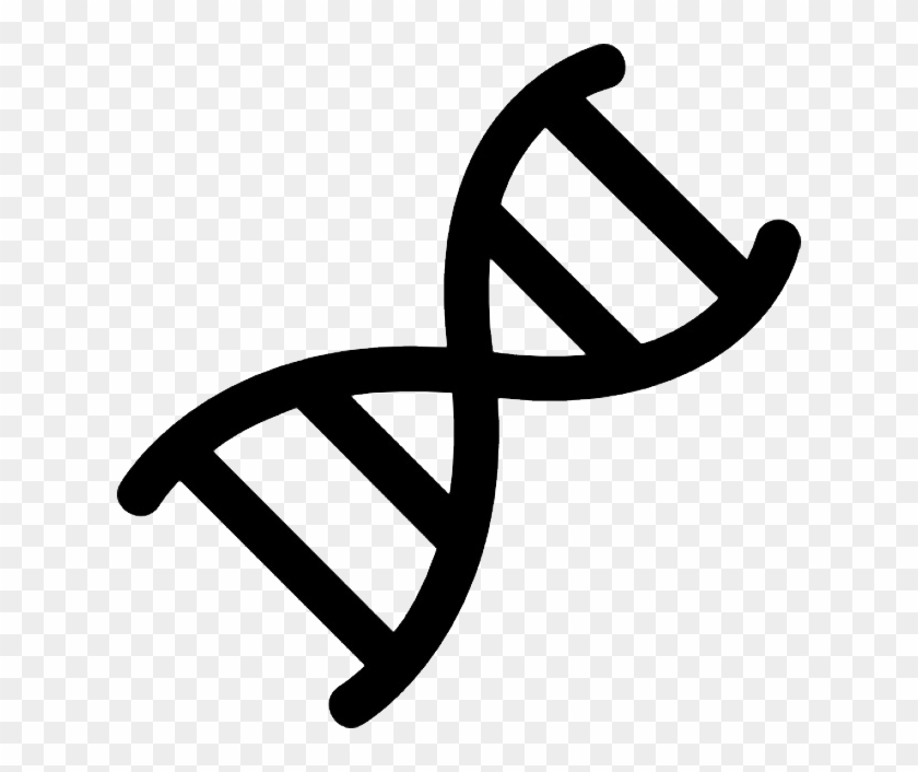 Dna Png - Dna Png #1556639