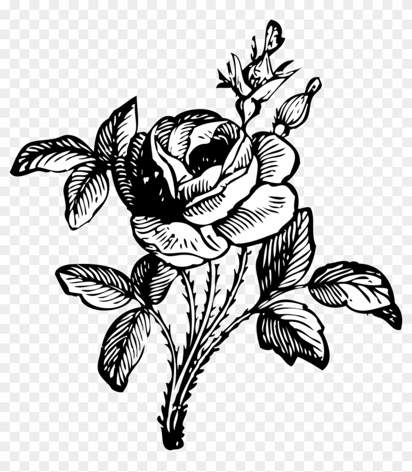 Rose Black And White Floral - Rose Black And White Floral #1556913