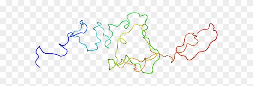 The N Terminal Domain Of Estrogen Receptor Alpha Custom - The N Terminal Domain Of Estrogen Receptor Alpha Custom #1557045