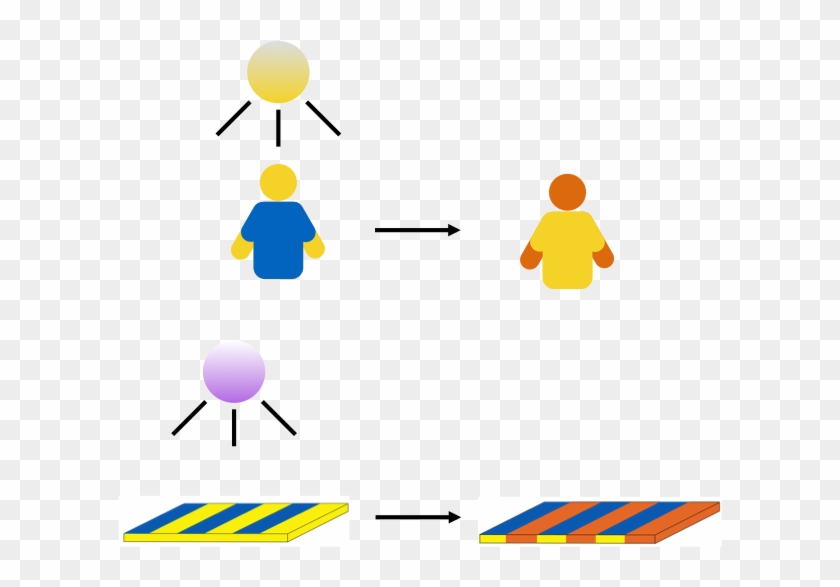 Figure 2 - - Figure 2 - #1557046