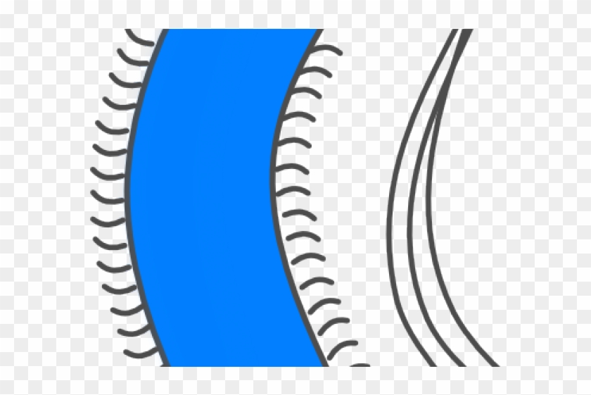 Happy Clipart Bacteria - Happy Clipart Bacteria #1557731