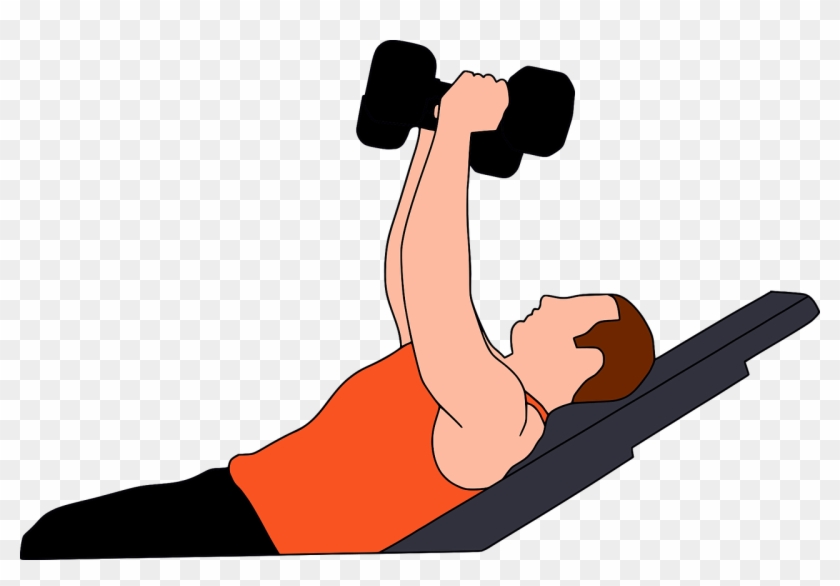 Gymnastics Gym Heavy - Gymnastics Gym Heavy #1558284