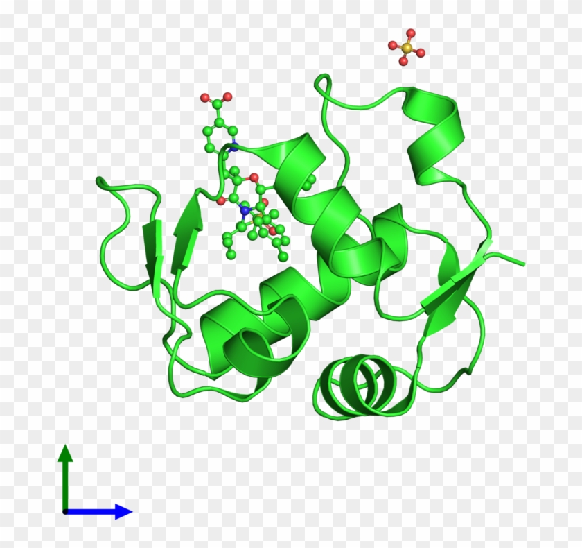Ribbon Structure Of 4ogt - Ribbon Structure Of 4ogt #1558475