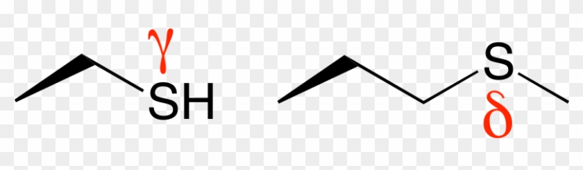 L-methionine - L-methionine #1558501