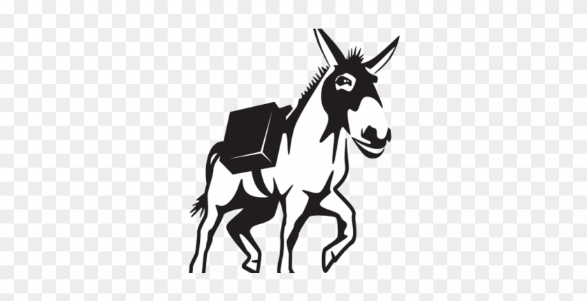 The Servermule Story - The Servermule Story #1558535