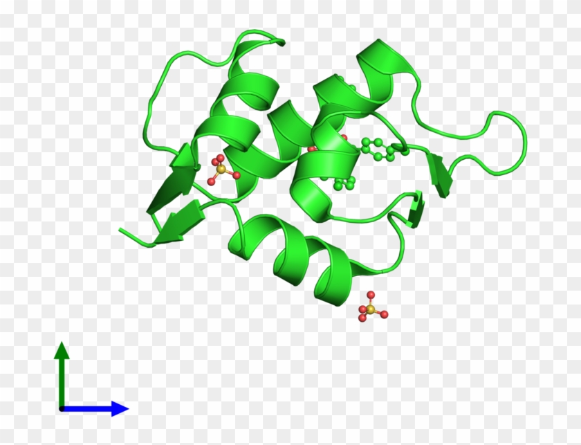Ribbon Structure Of 4jv9 - Ribbon Structure Of 4jv9 #1558549