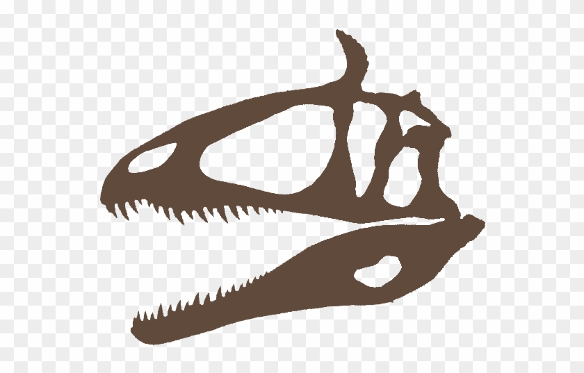 Specimen Available - Specimen Available #1558758