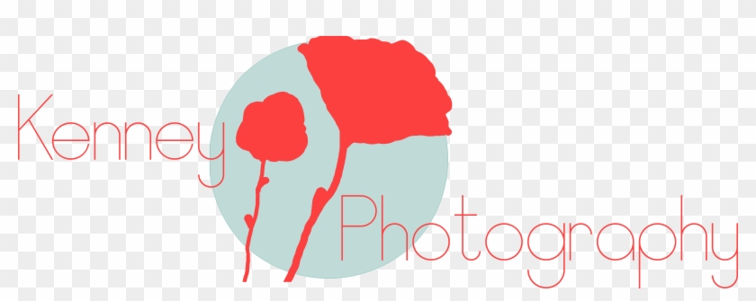 Kenney Photography - Kenney Photography #1558776