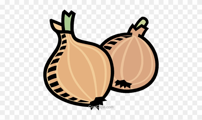 Onions Royalty Free Vector Clip Art Illustration - Onions Royalty Free Vector Clip Art Illustration #1558883