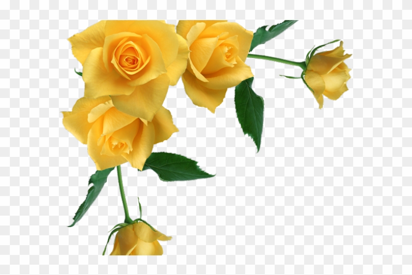 Yellow Rose Clipart Roses Corner - Yellow Rose Clipart Roses Corner #1559097