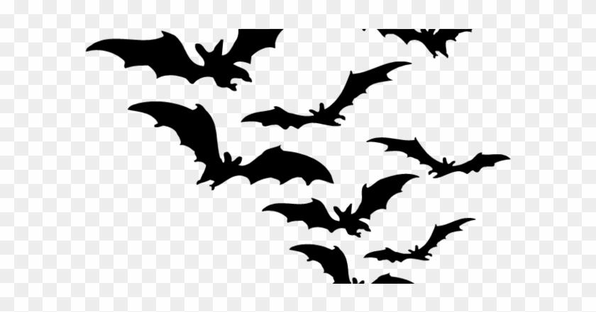Bat Black And White Cliparts - Bat Black And White Cliparts #1559516