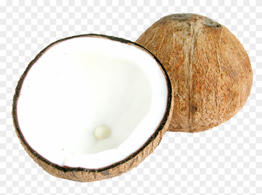 Two Half Coconuts Png - Two Half Coconuts Png #1559900