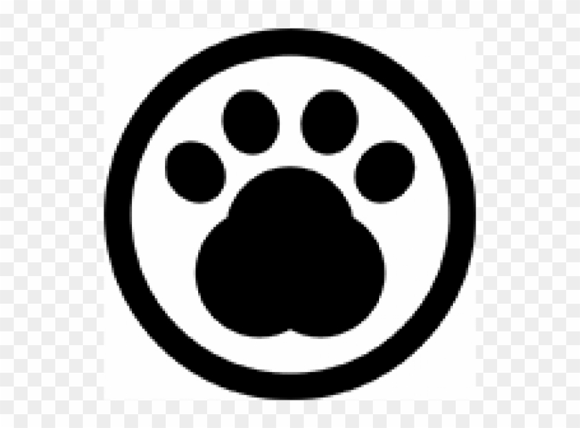 Canine Companion Training Canine Companion Training - Canine Companion Training Canine Companion Training #1560725