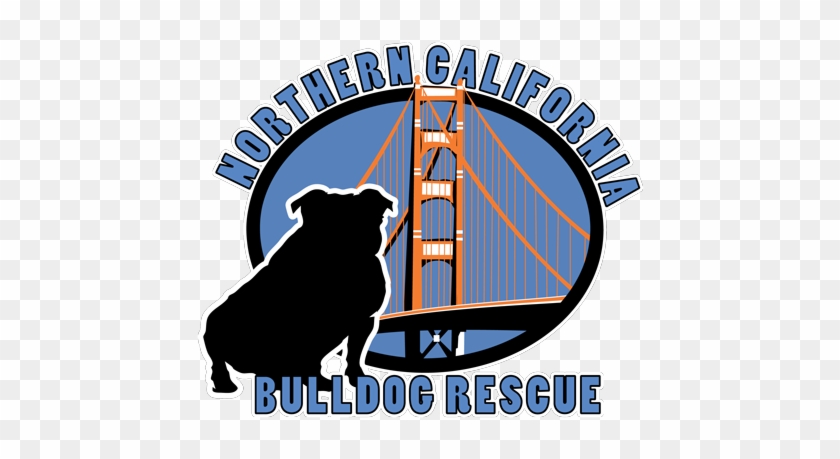 Northern California Bulldog Rescue - Northern California Bulldog Rescue #1560830