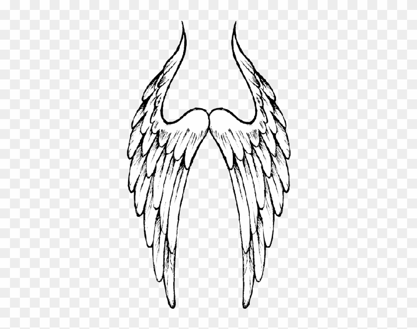 Angel Wings Hd Image 6668 Transparentpng - Angel Wings Hd Image 6668 Transparentpng #1561008